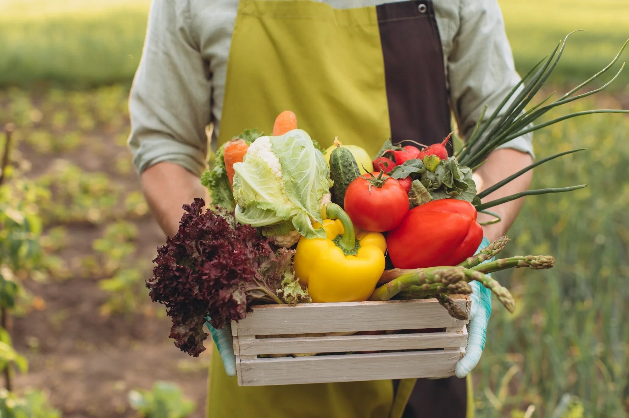 Organic Food vs Conventional Food: What’s the Difference?