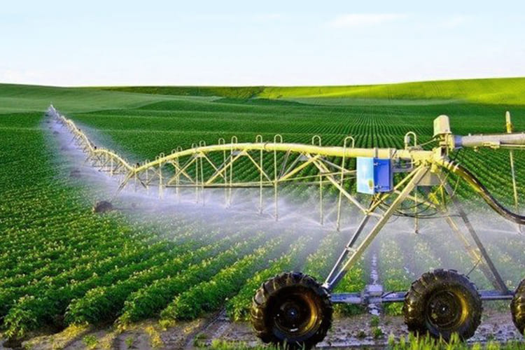 How Conventional Farming Affects the Environment