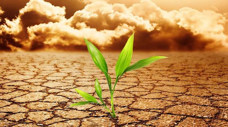 Organic Food and Climate Change